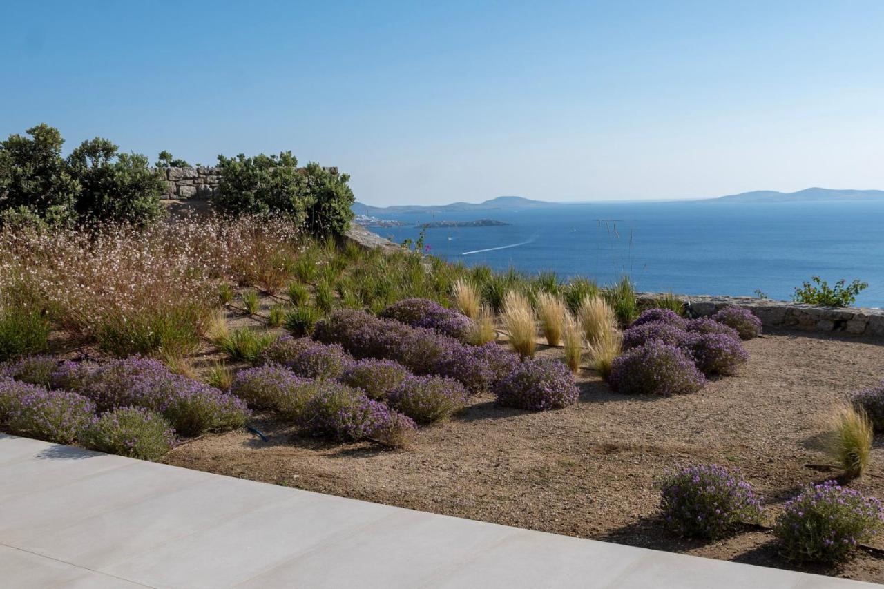 Zelia B&B & Villa Mykonos Town Kültér fotó